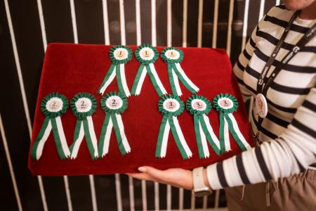 čiči 2024, olimpijske igre, foto - nika hoelcl (57)